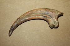 Dinosaurier kralle museale - -,