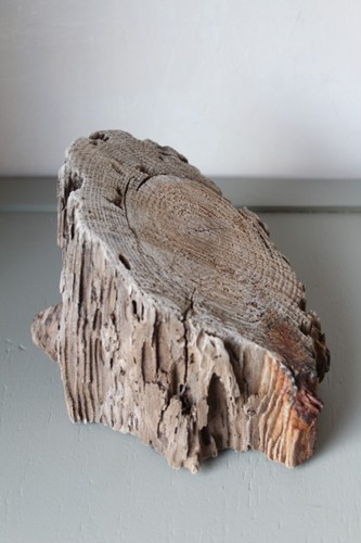 Treibholz schwemmholz - 18, cm