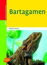 Bartagamen (Datz