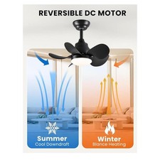 JUJUQI Moderne Kristall