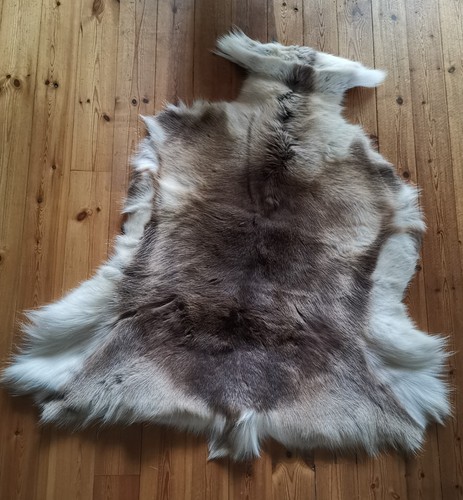 Rentierfell aus lappland 120 - rentierfell,