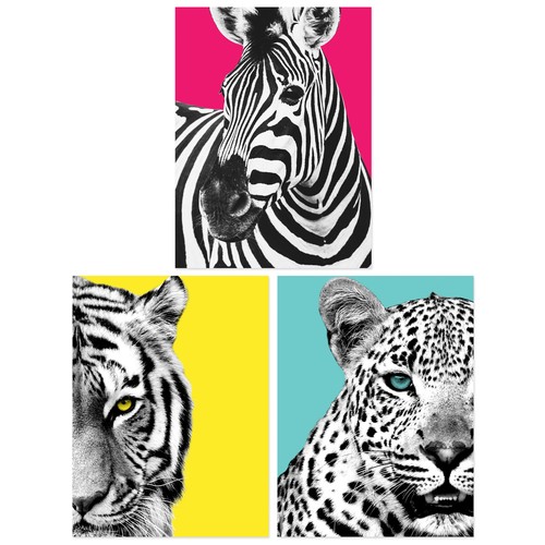 3er pack helle wildtiere zebra - 3er,
