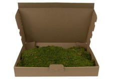 Terrarium Bodengrund Moos, Terrarienmoos, echtes Natur Plattmoos für Terrarien