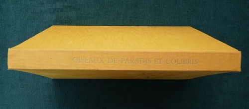 Paradiesvögel und kolibris - paradiesvögel,