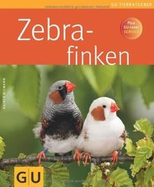 Zebrafinken von - zebrafinken, (tierratgeber)