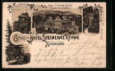 Lithographie Hasserode, Hotel Steinerne Renne, Besitzer: Th. Niewerth 1897 