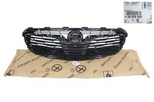 Original Kühlergrill oben