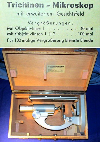 Erdmann grün trichinen - grün,