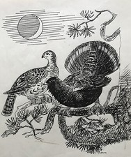 Karl Adser 1912-1995 Auerhahn