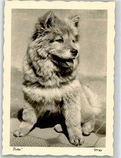 39893236 - Popp Karte Chow