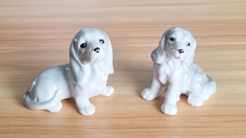 Niedliche cockerspaniel - niedliche,