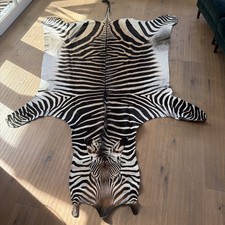 Hochwertiges Namibia Zebrafell - Ein echtes Unikat für Liebhaber und Sammler