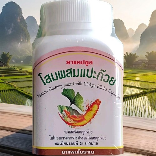 Roter ginseng ginkgo biloba - roter,