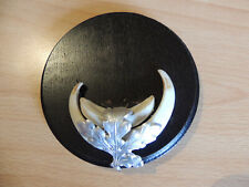 Keilerwaffen, Keilerzähne auf Brett, Jagdtrophäe Wildschwein, Hauer, #14