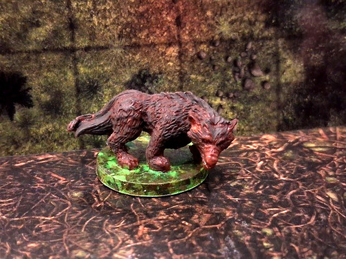 Figuren auswahl wolf - d&d,
