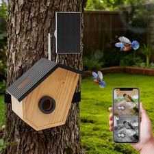 Solarbetriebenes Vogelnest mit