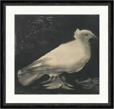 Die Taube Pablo Picasso 1949