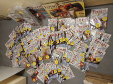 DeAgostini 1:8 Orginalverpackter Bausatz d. Kyosho Ferrari F2004 mit 78+1 Teile 