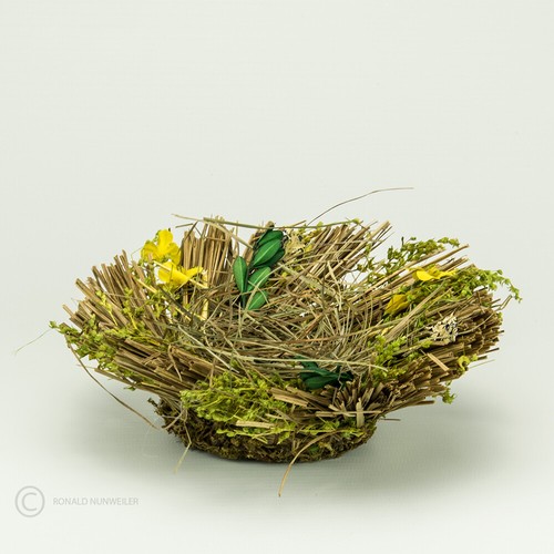 Gras blütennest - gras,