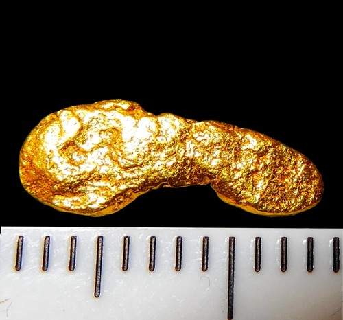 Xxl goldnugget mm - 11,6,