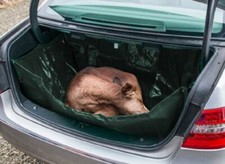 Wildwanne zusammenlegbar -