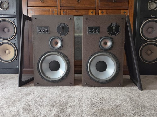 Infinity reference monitor - reference,