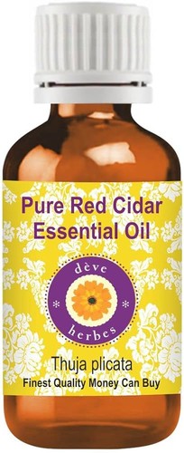 Red cedar essential oil thuja - cedar,