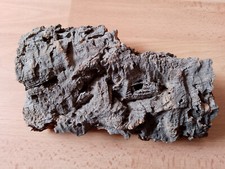 @ Terrarium Kork Rinde?-Gebraucht @
