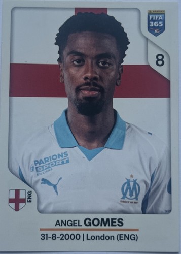 Panini fifa 365 2026 sticker - 2026,