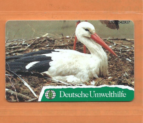 909 weißstorch - o,
