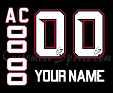 Adler Mannheim Customized