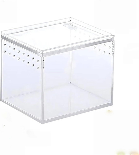 Fütterungsbox,Reptil