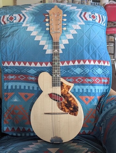 New acoustic electric - acoustic,