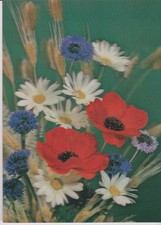 3 D-AK Hologramm: bunter Blumenstrauß, ungel. ca. 1970