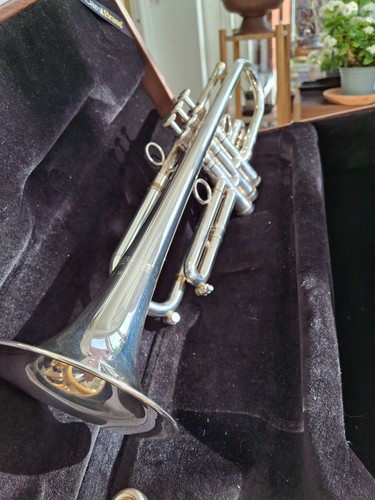 Carol professional trumpet - professional,