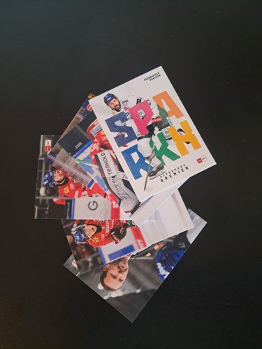 Del playercards augsburg - del,