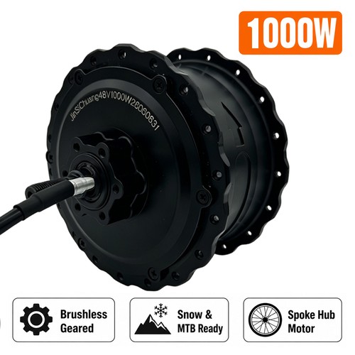 1000w bürstenloser - 1000w,