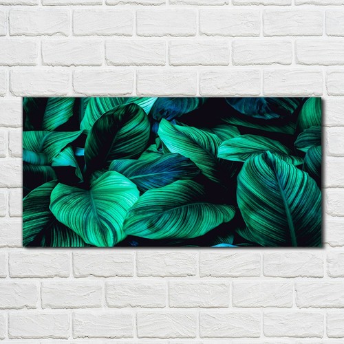 Acrylglasbild wandbild - acrylglasbild,