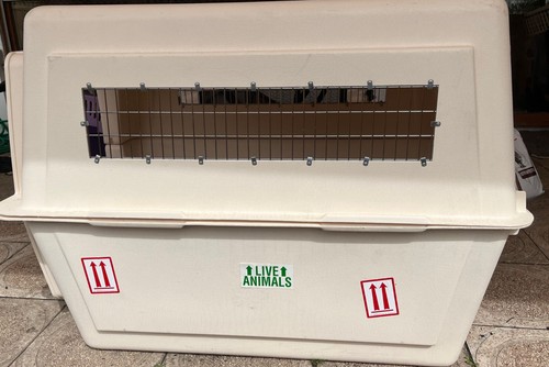 Hundetransportbox petmate - hundetransportbox,