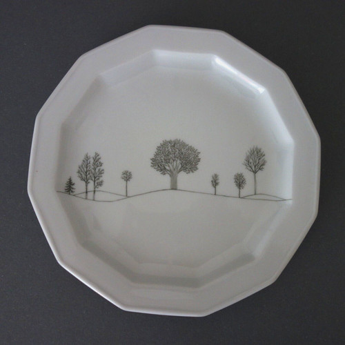 Rosenthal polygon winterreise - polygon,