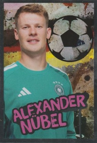 Panini family ferrero dfb - panini, 2026