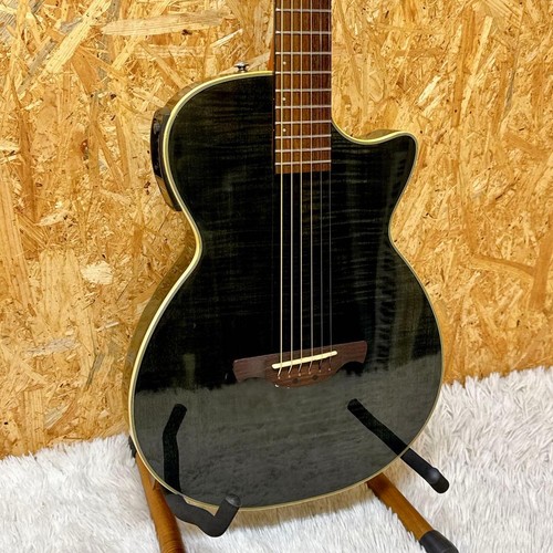 Akustikgitarre crafter - e-akustikgitarre,