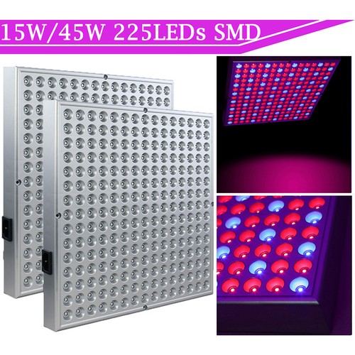 Led pflanzenlampe vollspektrum - led,