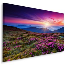CANVAS Leinwand Bilder XXL