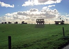 Pferdekutschen Ansichtskarten Juist Geberg Verlag Günter Puzberg