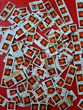 145x BLUMEN "TAGETES" Papier! OR. FOTO! 