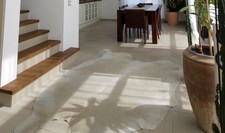 Kuhfell blond großer Teppich