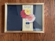Regal Display Case / Shadow