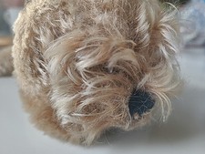 Steiff Floppy Raudi Mohair