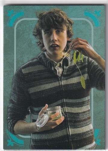 Panini harry potter evolution - panini,